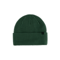 Forecast Beanie - Pine