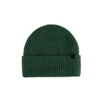 Forecast Beanie - Pine